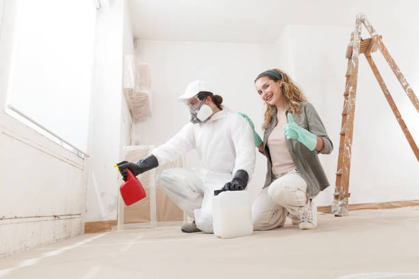 Best Attic Mold Removal  in Mitchell, SD