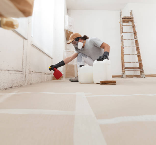 Best Asbestos and Lead Testing During Mold Inspection  in Mitchell, SD
